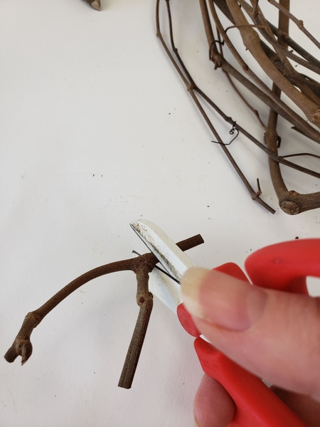 This fork in the twig makes the perfect legs This fork in the twig makes the perfect legs