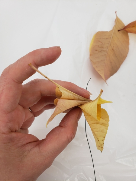 Thread in the next autumn leaf. Thread in the next autumn leaf.
