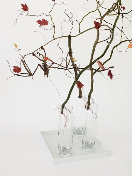 Zero waste all natural and sustainable halloween decoration Zero waste all natural and sustainable halloween decoration