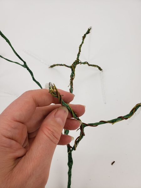 And every new stem gets wound around the previous one to keep that in place And every new stem gets wound around the previous one to keep that in place