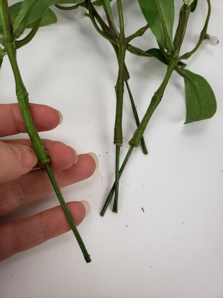But it is quite easy to add a stem to the branch But it is quite easy to add a stem to the branch