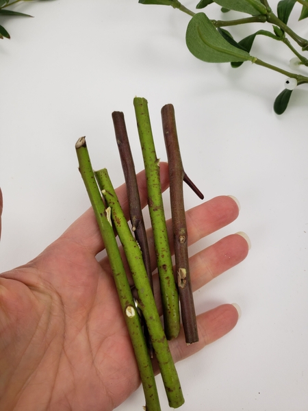 Cut twigs to make up the stems Cut twigs to make up the stems