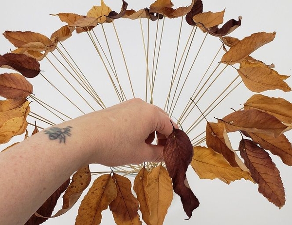 Creating a minimal look in a floral design with clever leaf tricks Creating a minimal look in a floral design with clever leaf tricks
