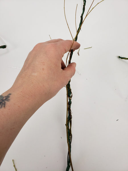 Do not cut away the side branches from these twigs