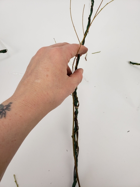 Do not cut away the side branches from these twigs Do not cut away the side branches from these twigs