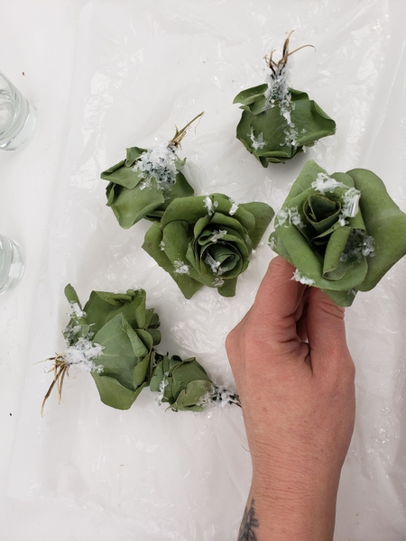 For my design I made eucalyptus roses