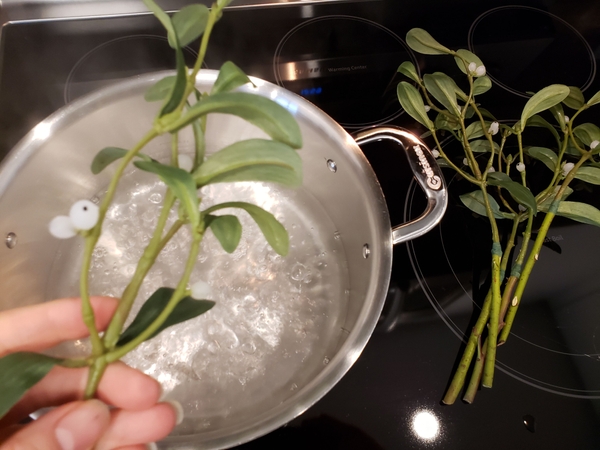 Hold the stem over a pot of boiling water Hold the stem over a pot of boiling water