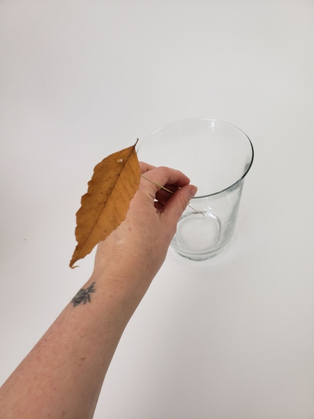 Once glued place the leaves in a display vase Once glued place the leaves in a display vase