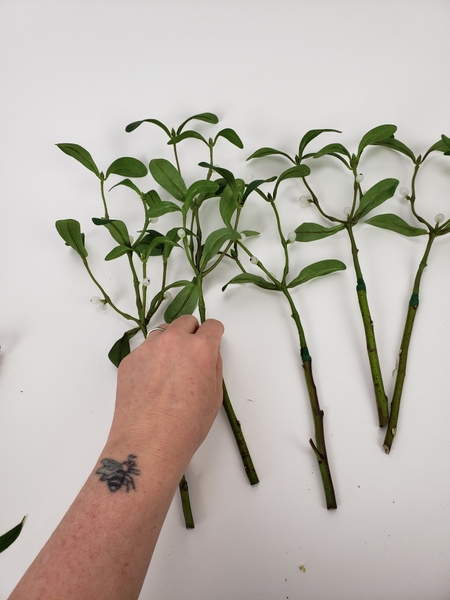 The perked up faux mistletoe branches are ready to design with The perked up faux mistletoe branches are ready to design with