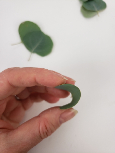 Bend the leaves in half Bend the leaves in half