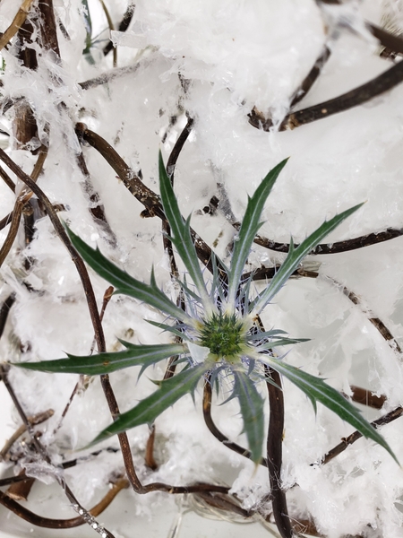 Eryngium flower arrangement for Christmas by Christine de Beer Eryngium flower arrangement for Christmas by Christine de Beer