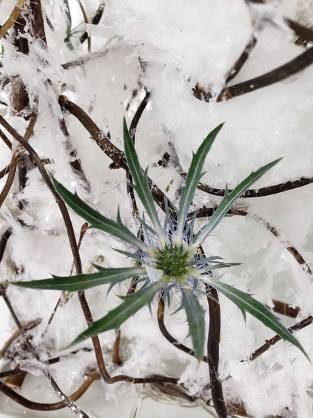 Eryngium flower arrangement for Christmas by Christine de Beer