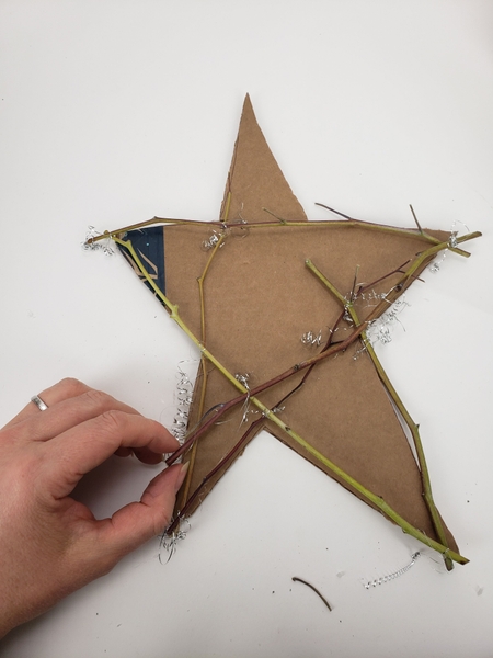 Fill in the star shape with twigs. Fill in the star shape with twigs.