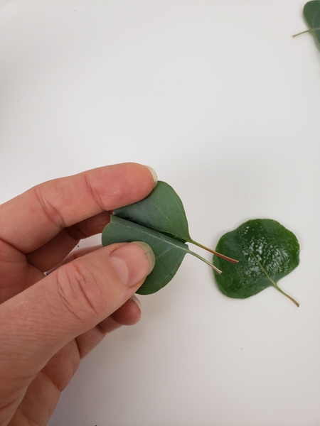 Fold open the leaves Fold open the leaves