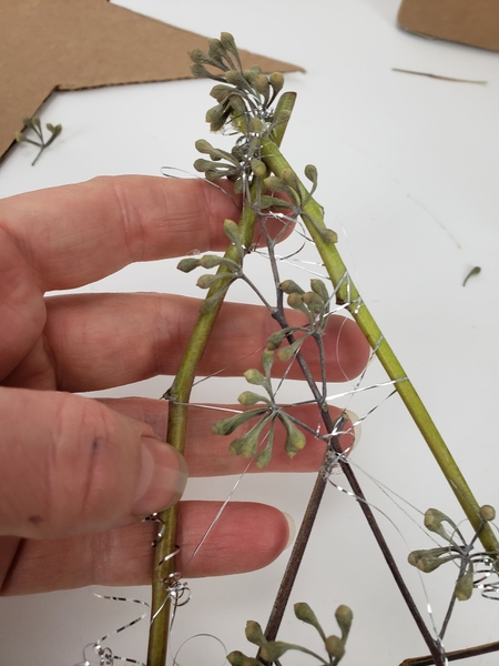 Lift the stem star away from the cardboard Lift the stem star away from the cardboard