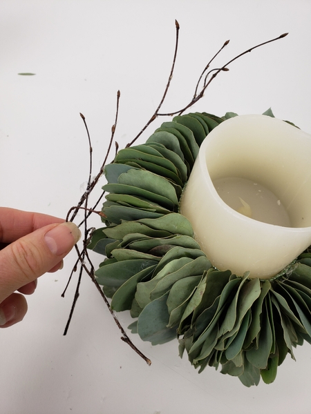 Make sure the twigs look healthy and flourishing Make sure the twigs look healthy and flourishing