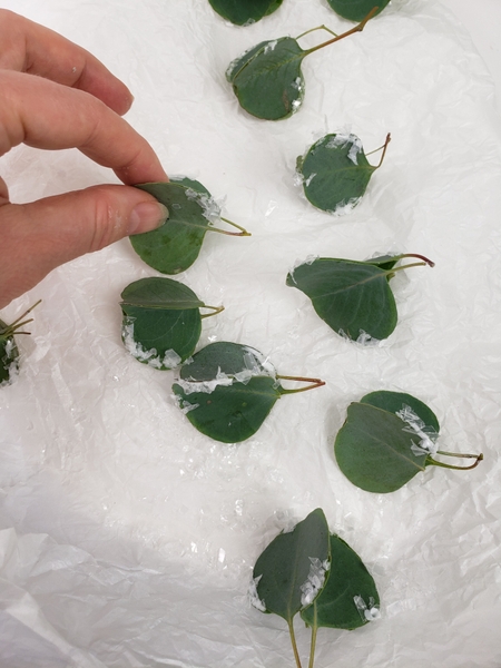 Set the leaves aside to dry Set the leaves aside to dry