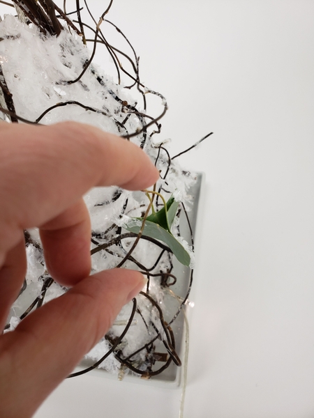 Slip a twig through the stem ends to hang Slip a twig through the stem ends to hang