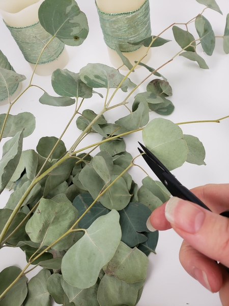 Snip eucalyptus leaves from the stem Snip eucalyptus leaves from the stem