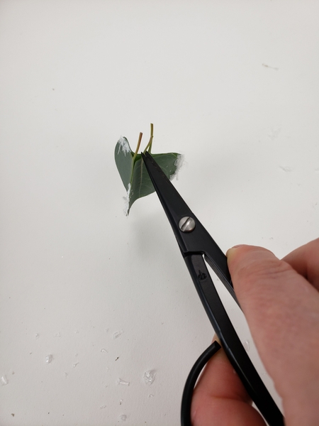 Snip out the middle stem Snip out the middle stem