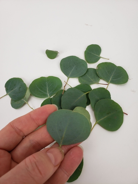 Snip the leaves from the stems Snip the leaves from the stems