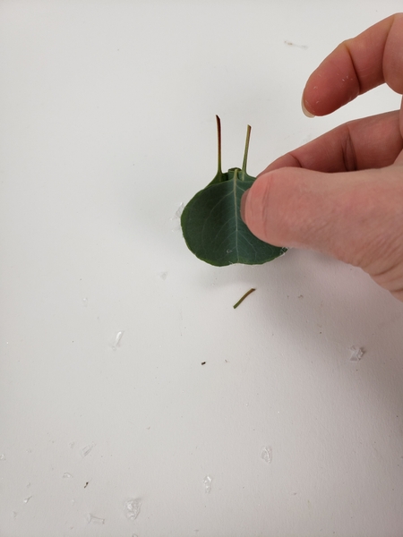 To make a gap between the leaves To make a gap between the leaves