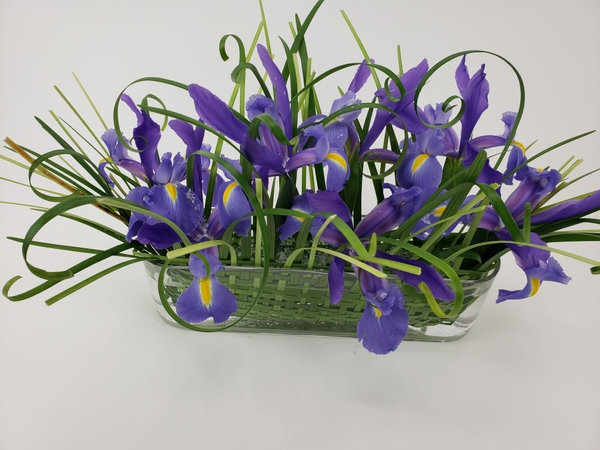Blue irises in a ice blue sustainable floral design Blue irises in a ice blue sustainable floral design