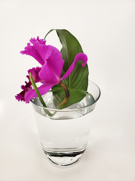 Contemporary floral designing with a Cattleya orchid