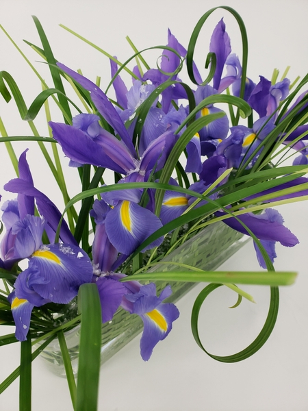 Iris and woven grass to create a fast and easy zero waste floral design for decor styling Iris and woven grass to create a fast and easy zero waste floral design for decor styling