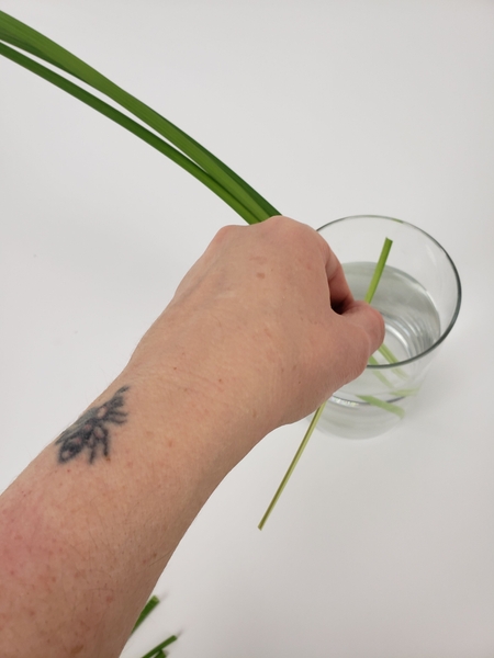 Measure the lily grass for the horizontal weave Measure the lily grass for the horizontal weave