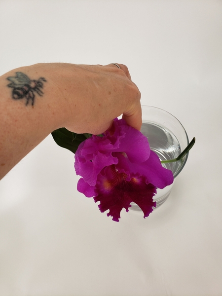 Place a short stem flower into the vase Place a short stem flower into the vase