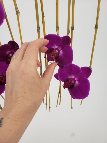 Place the flowers in the water tubes so that they remain hydrated Place the flowers in the water tubes so that they remain hydrated