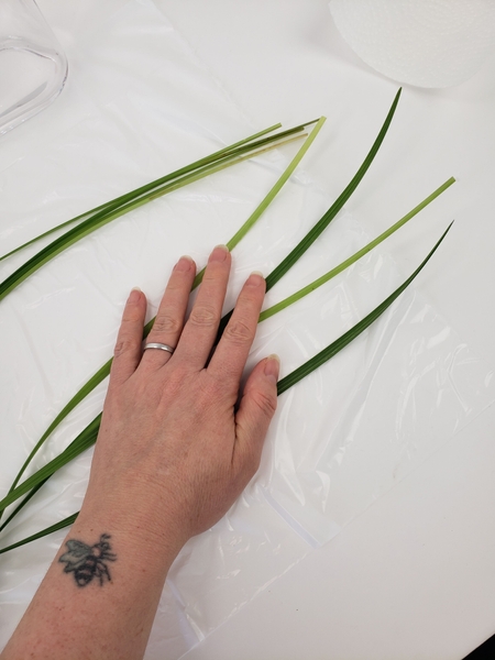 Place your grass that you want to weave on a flat working surface Place your grass that you want to weave on a flat working surface