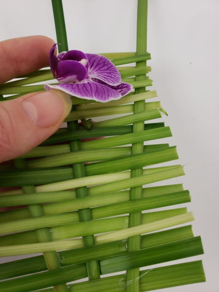 Slip the orchid stem through the panel Slip the orchid stem through the panel