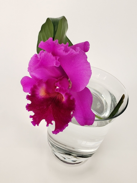 Soft minimalism when arranging flowers Soft minimalism when arranging flowers