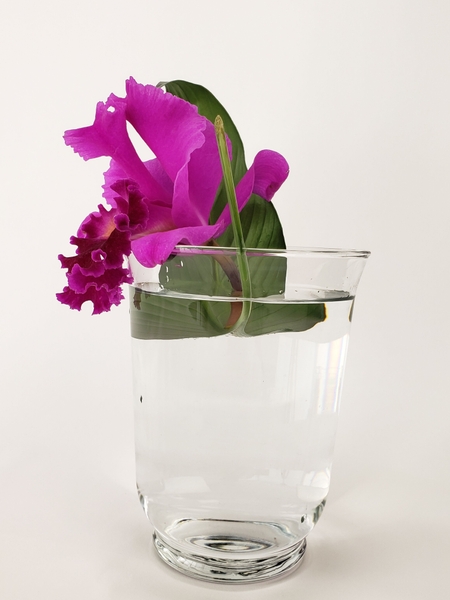Wabi sabi flower arrangement Wabi sabi flower arrangement