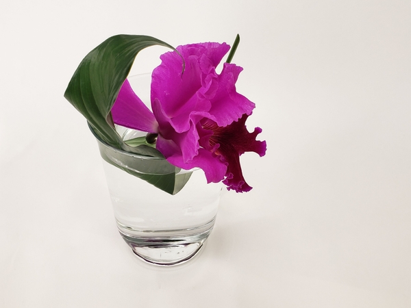 Zero waste with no plastic sustainable floral design Zero waste with no plastic sustainable floral design
