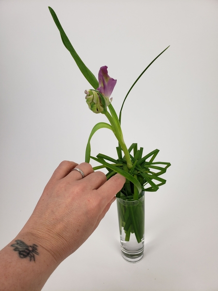 Add a few blades of grass that compliments the natural curve of the tulip Add a few blades of grass that compliments the natural curve of the tulip