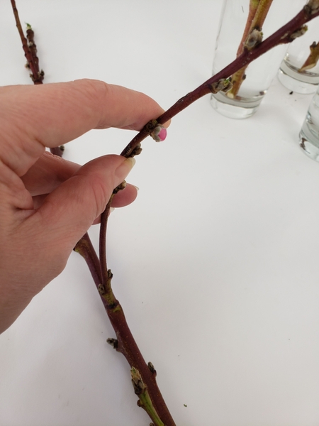 Bend the branch a little bit at a time Bend the branch a little bit at a time