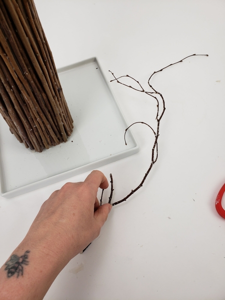 Choose an interesting twig with loads of curves and side branches Choose an interesting twig with loads of curves and side branches