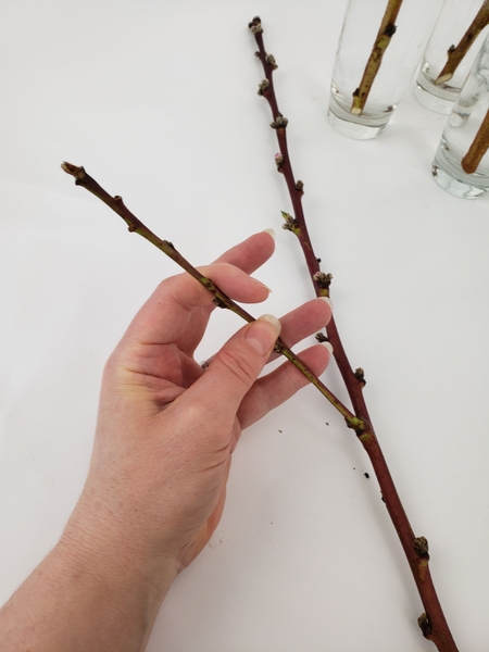 Curve another branch by gently bending it Curve another branch by gently bending it
