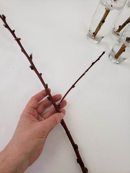 Curving branches and stick techniques for florists Curving branches and stick techniques for florists