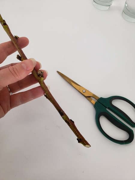 Give the blossoming peach branches a fresh cut Give the blossoming peach branches a fresh cut