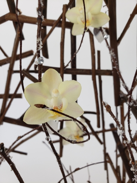How to add a touch of winter to floral designs How to add a touch of winter to floral designs