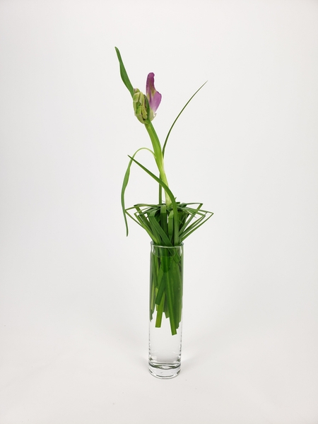 How to arrange a tulip in a vase How to arrange a tulip in a vase
