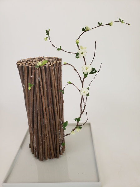 Long lasting succulent flower Long lasting succulent flower