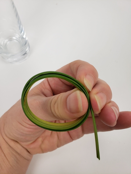Make the circle slightly smaller before rolling up the rest of the grass blade Make the circle slightly smaller before rolling up the rest of the grass blade