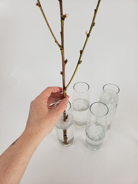 Place the branch in a bud vase Place the branch in a bud vase