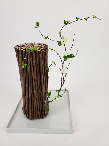 Sustainable floral design with succulents and twigs Sustainable floral design with succulents and twigs