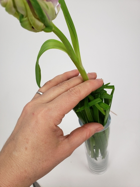 Thread the tulip stem through the gap Thread the tulip stem through the gap